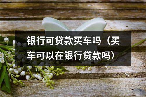 银行可贷款买车吗（买车可以在银行贷款吗）