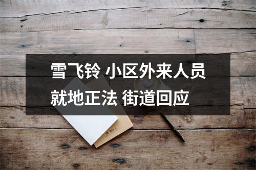 雪飞铃 小区外来人员就地正法 街道回应