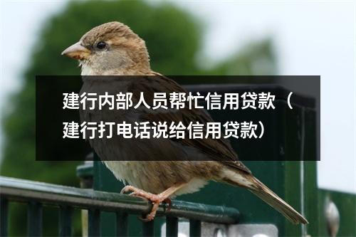 建行内部人员帮忙信用贷款（建行打电话说给信用贷款）