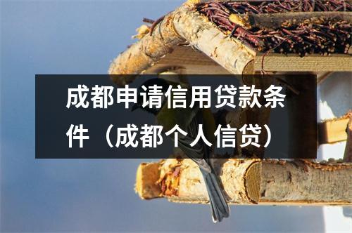 成都申请信用贷款条件（成都个人信贷）