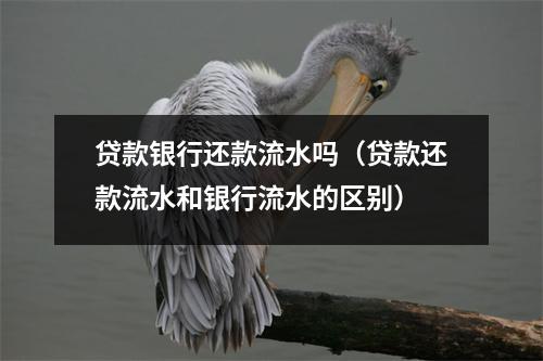 贷款银行还款流水吗（贷款还款流水和银行流水的区别）