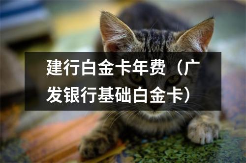 建行白金卡年费（广发银行基础白金卡）