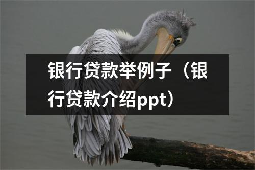 银行贷款举例子（银行贷款介绍ppt）