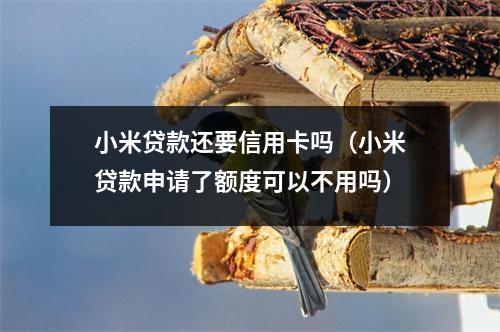 小米贷款还要信用卡吗(小米贷款申请了额度可以不用吗)
