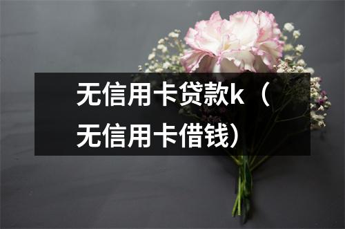 无信用卡贷款k（无信用卡借钱）