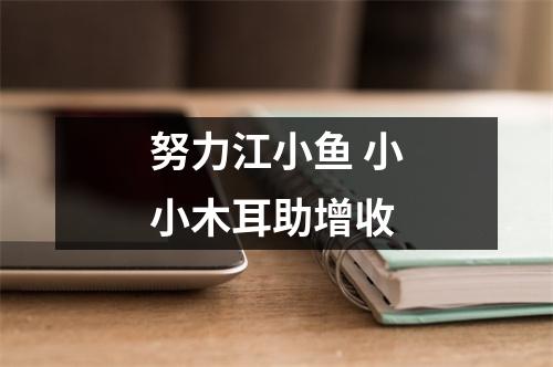 努力江小鱼 小小木耳助增收