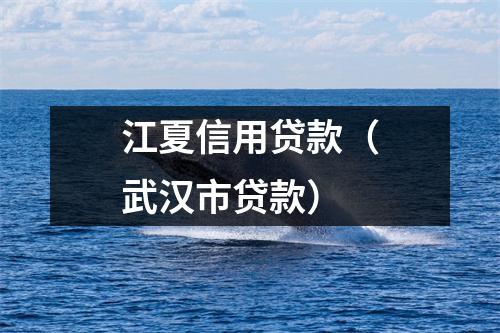 江夏信用贷款（武汉市贷款）