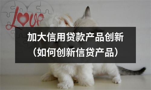 加大信用贷款产品创新（如何创新信贷产品）