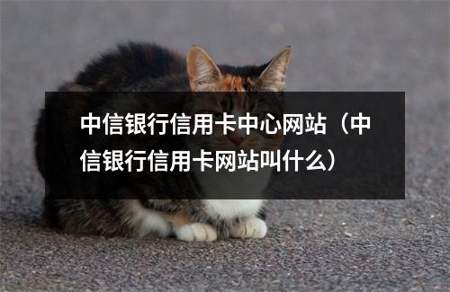 中信银行信用卡中心网站（中信银行信用卡网站叫什么）