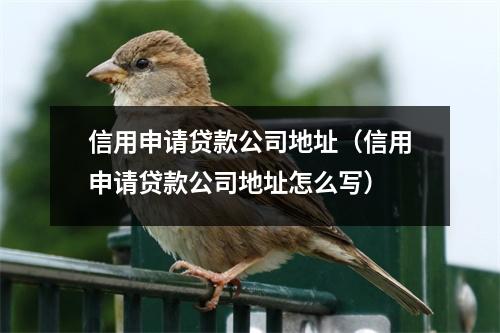 信用申请贷款公司地址（信用申请贷款公司地址怎么写）