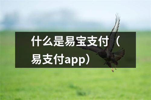 什么是易宝支付（易支付app）
