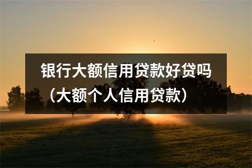 银行大额信用贷款好贷吗（大额个人信用贷款）