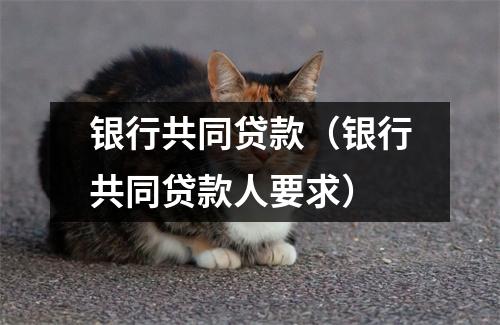 银行共同贷款（银行共同贷款人要求）