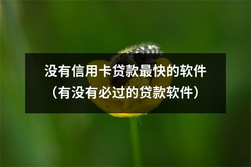 没有信用卡贷款最快的软件（有没有必过的贷款软件）