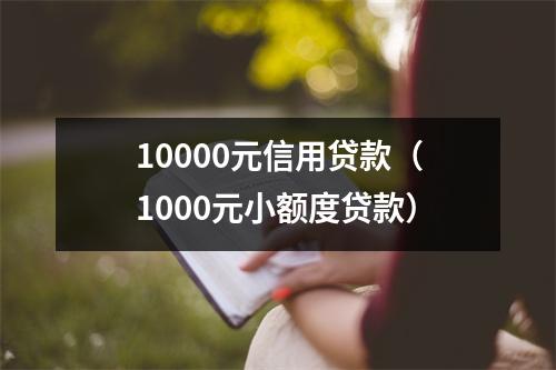 10000元信用贷款（1000元小额度贷款）