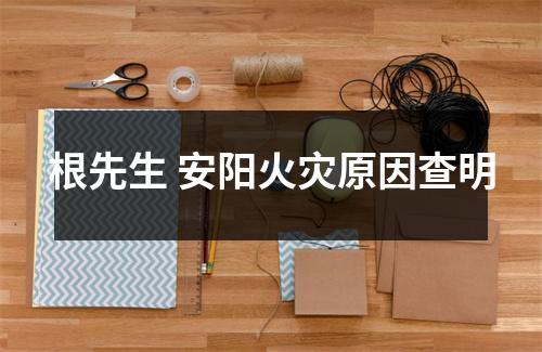 根先生 安阳火灾原因查明