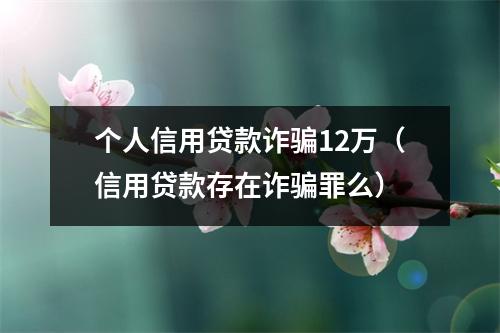 个人信用贷款诈骗12万(信用贷款存在诈骗罪么)