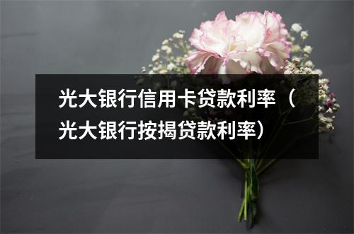 光大银行信用卡贷款利率(光大银行按揭贷款利率)