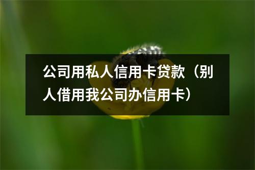 公司用私人信用卡贷款（别人借用我公司办信用卡）