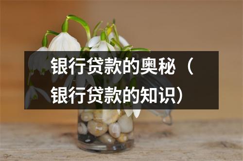 银行贷款的奥秘(银行贷款的知识)