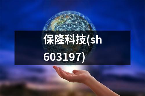保隆科技(sh603197)