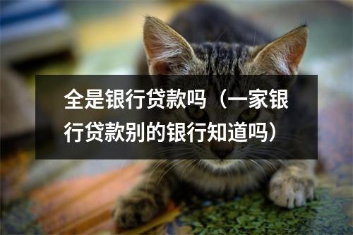 全是银行贷款吗（一家银行贷款别的银行知道吗）