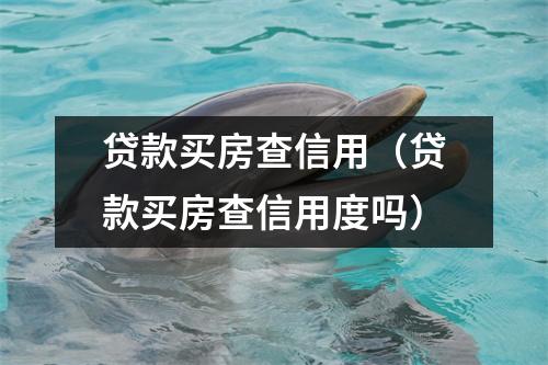 贷款买房查信用（贷款买房查信用度吗）