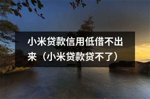 小米贷款信用低借不出来（小米贷款贷不了）