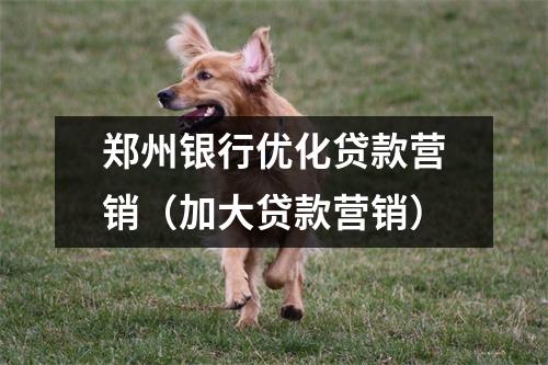郑州银行优化贷款营销(加大贷款营销)