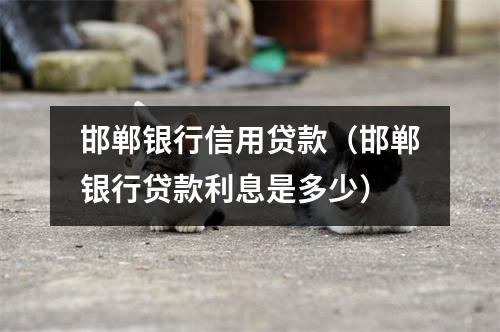 邯郸银行信用贷款（邯郸银行贷款利息是多少）