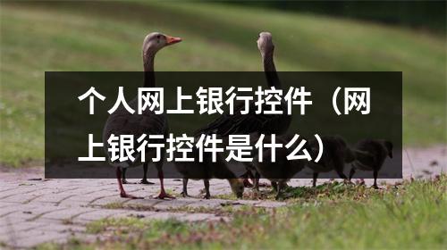 个人网上银行控件(网上银行控件是什么)
