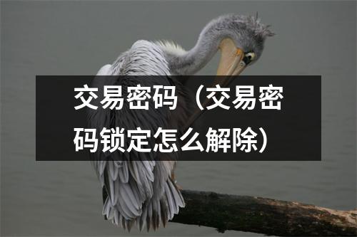 交易密码（交易密码锁定怎么解除）