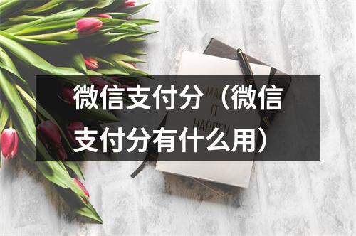 微信支付分（微信支付分有什么用）
