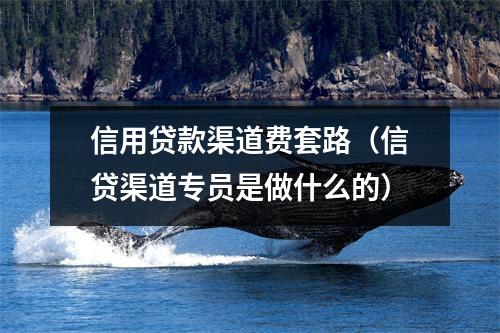 信用贷款渠道费套路（信贷渠道专员是做什么的）