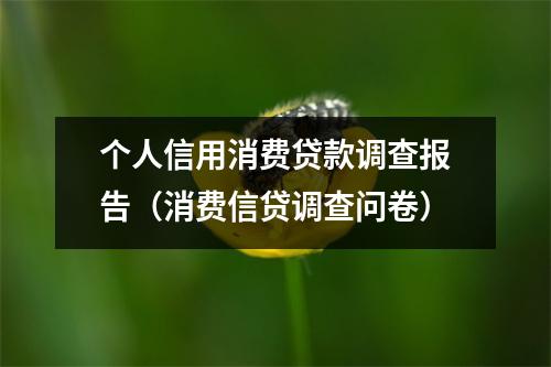 个人信用消费贷款调查报告（消费信贷调查问卷）