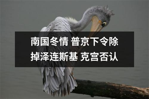 南国冬情 普京下令除掉泽连斯基 克宫否认