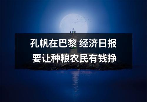 孔帆在巴黎 经济日报 要让种粮农民有钱挣
