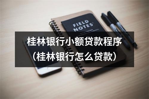 桂林银行小额贷款程序（桂林银行怎么贷款）