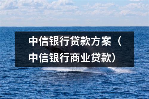中信银行贷款方案（中信银行商业贷款）