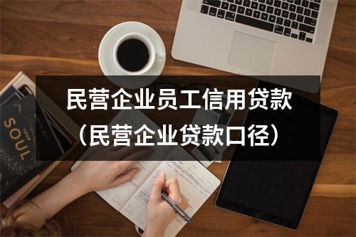 民营企业员工信用贷款（民营企业贷款口径）