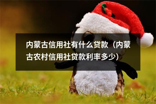 内蒙古信用社有什么贷款（内蒙古农村信用社贷款利率多少）