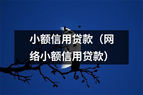 小额信用贷款(网络小额信用贷款)