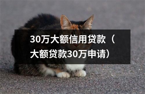 30万大额信用贷款（大额贷款30万申请）
