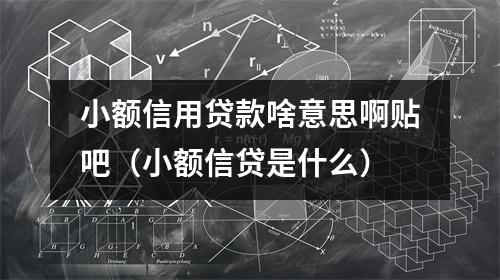 小额信用贷款啥意思啊贴吧（小额信贷是什么）