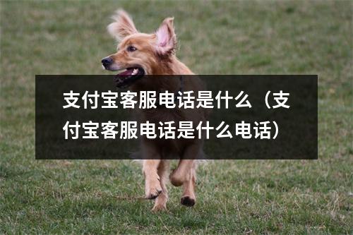 支付宝客服电话是什么（支付宝客服电话是什么电话）