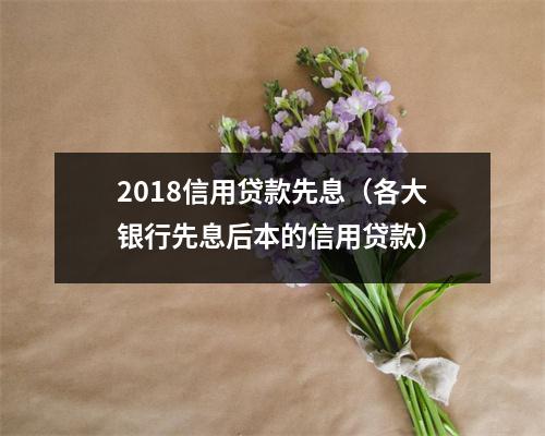 2018信用贷款先息(各大银行先息后本的信用贷款)