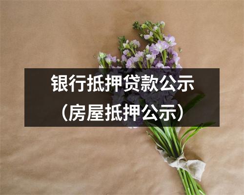银行抵押贷款公示（房屋抵押公示）