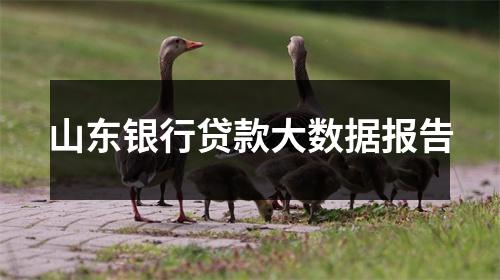 山东银行贷款大数据报告