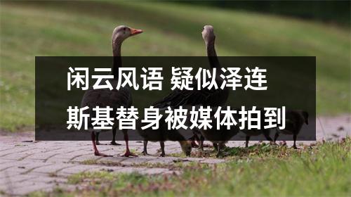 闲云风语 疑似泽连斯基替身被媒体拍到