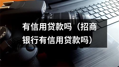 有信用贷款吗(招商银行有信用贷款吗)